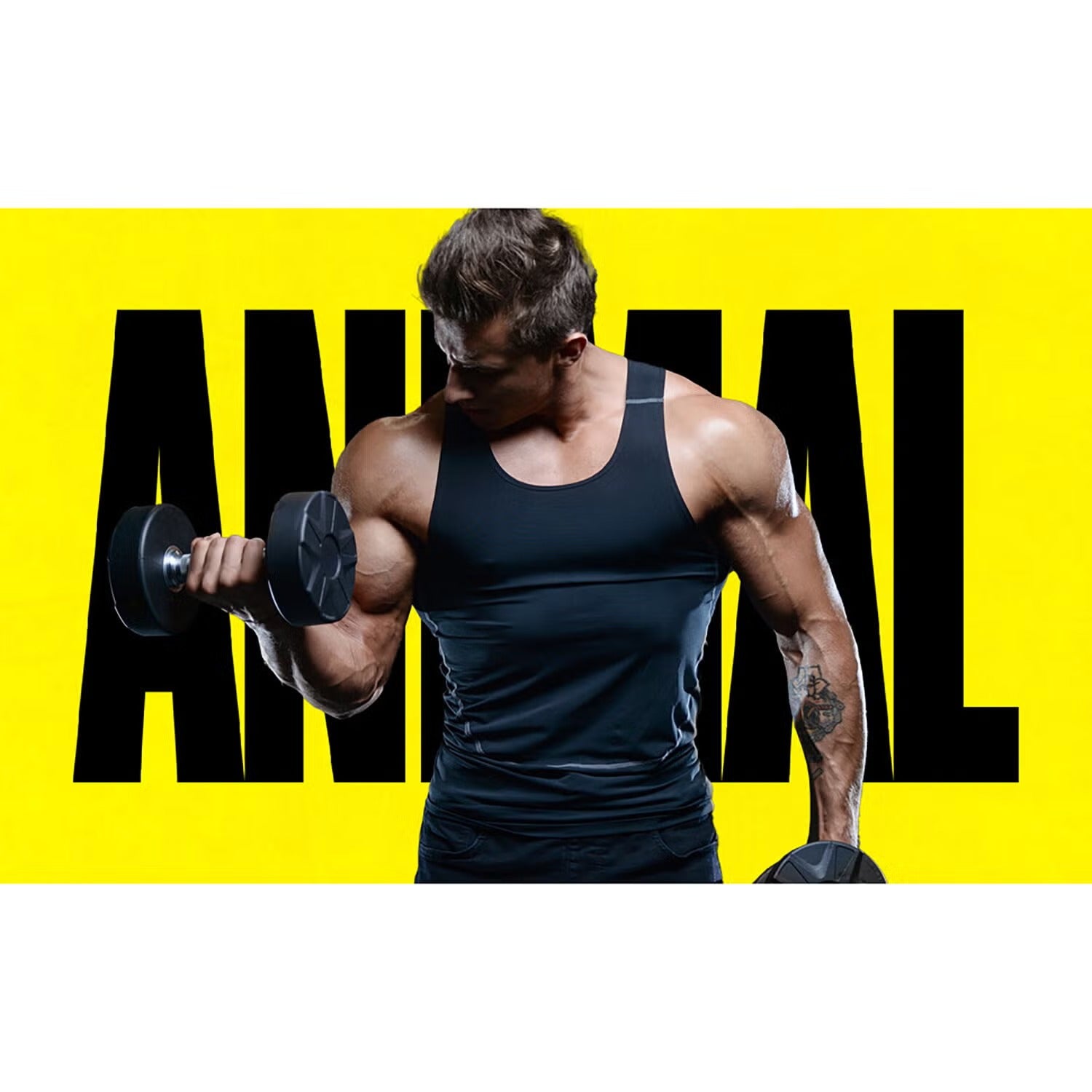 Animal Pak Ultimate Foundation Pill Packs - 44 Packs (22 Servings) Animal Pak Ultimate Foundation Pill Packs - 44 Packs (22 Servings)