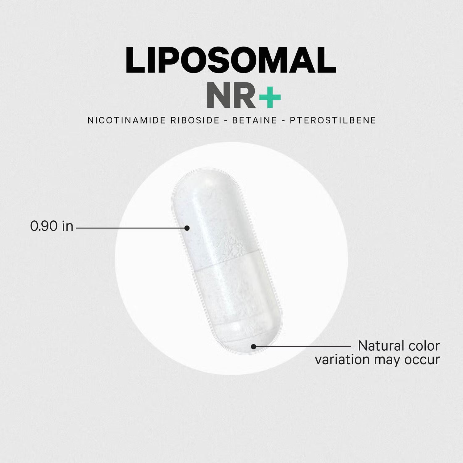 Liposomal Nicotinamide Riboside+ - 60 Capsules (60 Servings) Liposomal Nicotinamide Riboside+ - 60 Capsules (60 Servings)