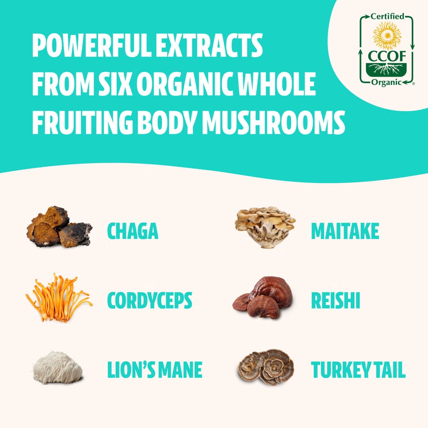 Ultimate Mushroom Complex - 60 Capsules (30 Servings) Ultimate Mushroom Complex - 60 Capsules (30 Servings)