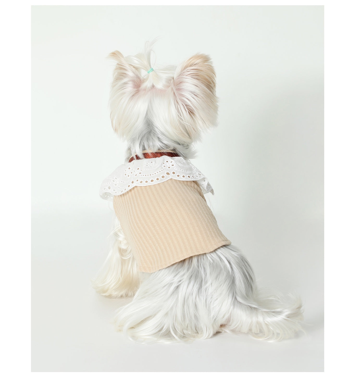 Pet Floral Neck Bow Cute Vest Clothes