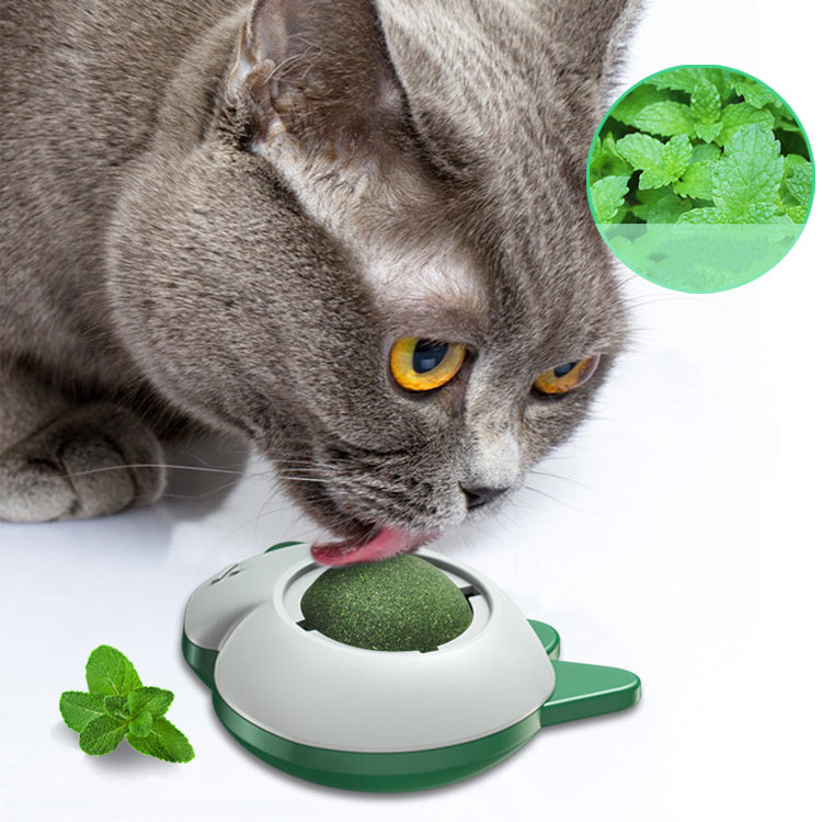 Spinning Catnip Ball For Cats Snacks Licking Licking Grinding Teeth Tooth Cleaning Self Biting Toy