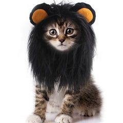 Pet Cat Headgear Wig Hat Pet Cat Funny Dress Up, Puppy Cat Cat Clothing Lion Headgear