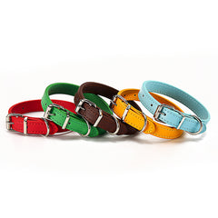 Pet supplies collar