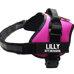 Pet Chest Harness  Dog Leash