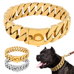 Stainless steel cast dog collar