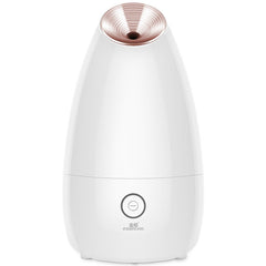 Face Steamer Beauty Instrument Steam Face Sprayer