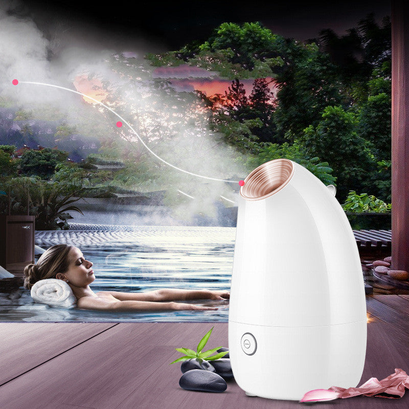 Face Steamer Beauty Instrument Steam Face Sprayer