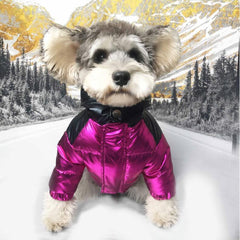 Pet Clothes Star Patent Fur Collar Down Jacket