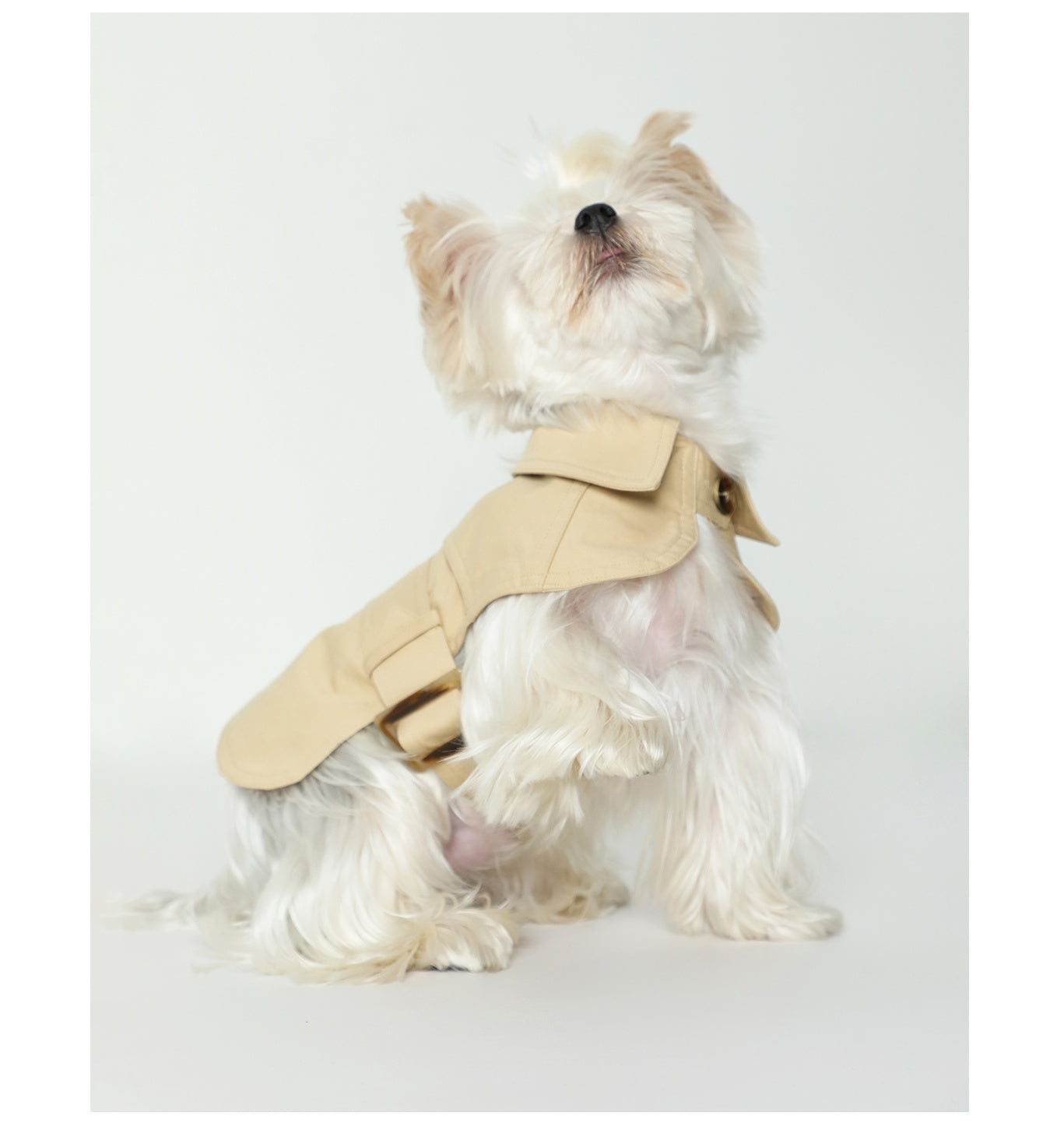 Summer Pet Clothes Dog British Trench Coat