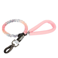 Bianmu Golden Retriever Medium Dog Walking Rope