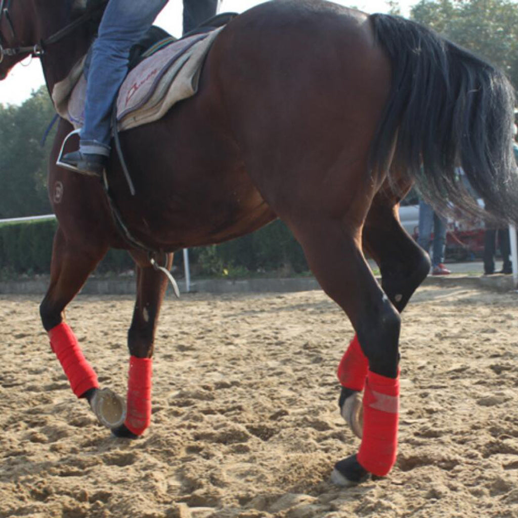 Horse Leg Straps Leg Wraps Leg Bandage Set