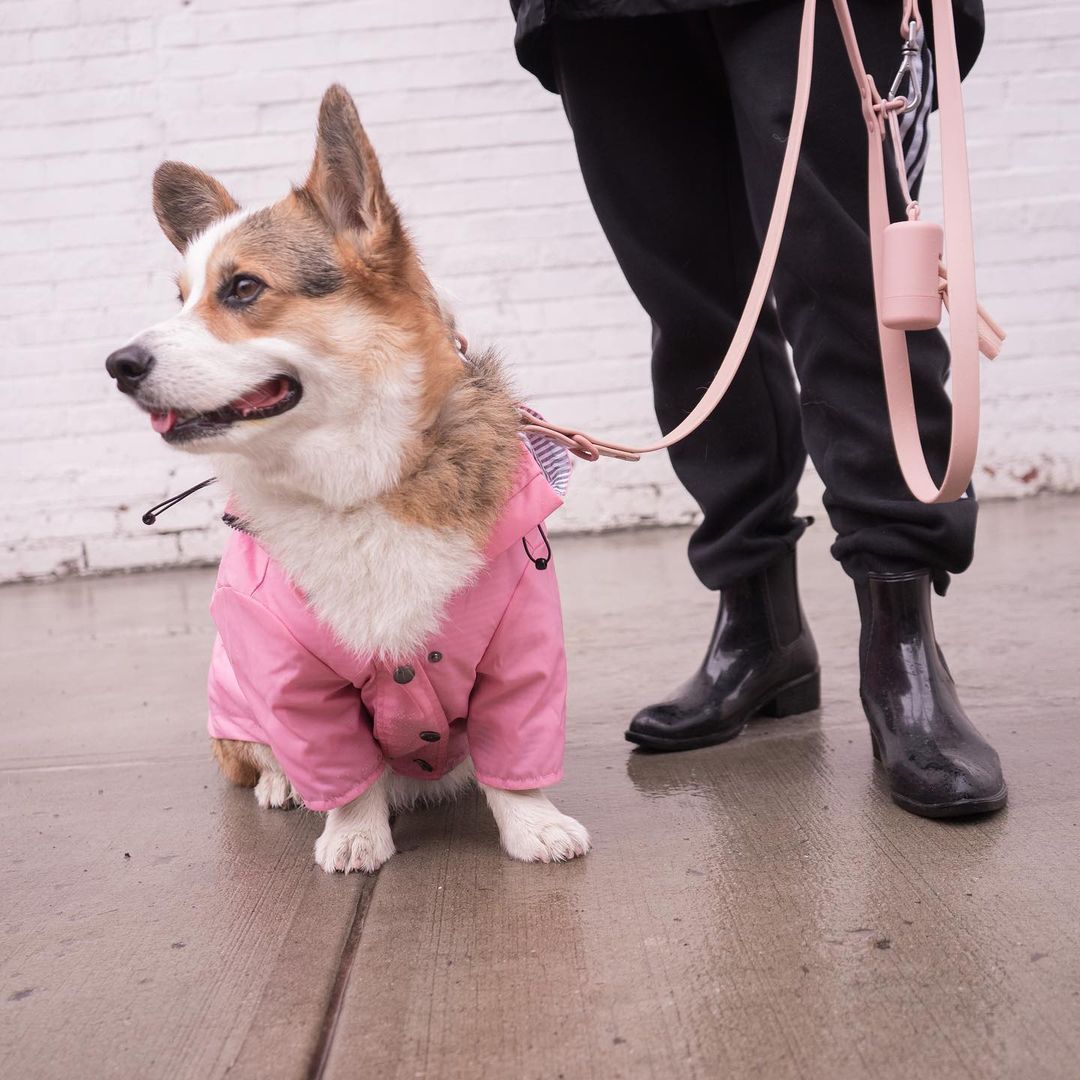 Windproof British Retro Padded Dog Raincoat