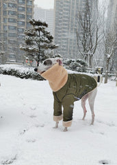 Greyhounds Whippet Super Thick Lamb Fleece Two-wear Coat