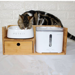 White pet drinking fountain