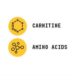 Chemistry Labs™ L-Carnitine (30 Servings)