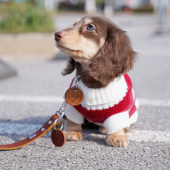 Sausage Dog Clothes Small Dog Cat Warm Thickened Sweater