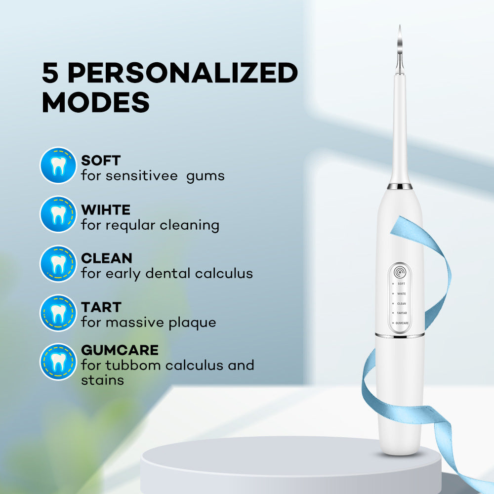 Cross-border New Arrival Removing Tartar And Calculus Water Toothpick Set Oral Care Tools Electrodynamic Instrument Teeth Cleaner