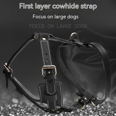 Black Cowhide Pet Leather Chest Strap