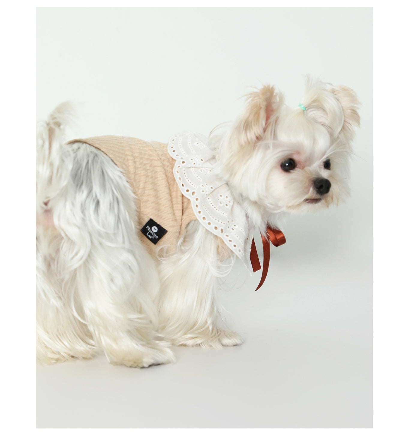 Pet Floral Neck Bow Cute Vest Clothes