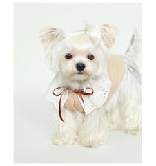 Pet Floral Neck Bow Cute Vest Clothes