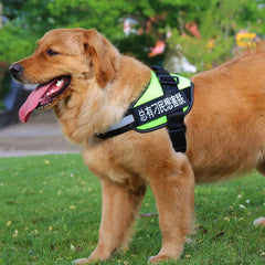 Pet Chest Harness  Dog Leash