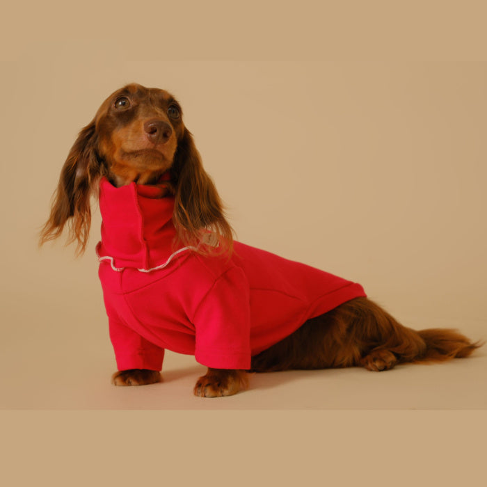 Pet Base Coat Dachshund Dog Clothing