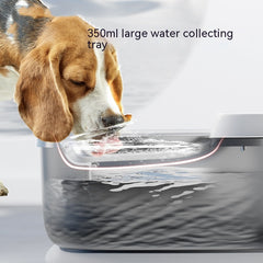 Household Pet Minimalist Circulating Water Dispenser