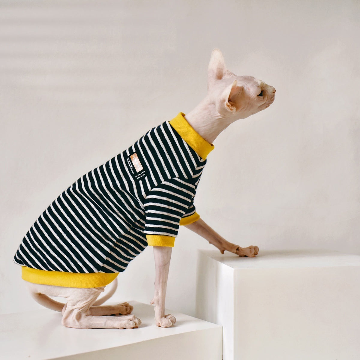 Fabric Sphinx Hairless Cat Clothing