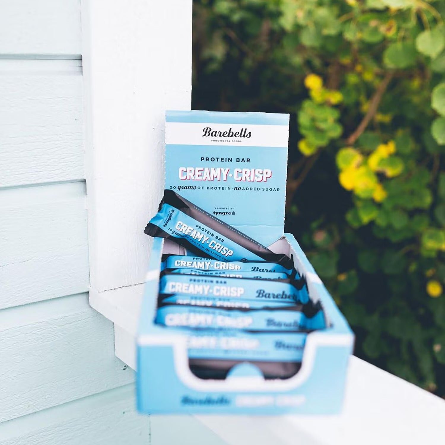 Protein Bar - Creamy Crisp (12 Bars)