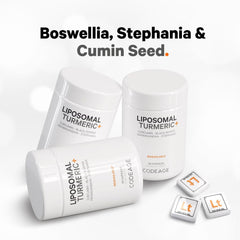 Liposomal Fermented Turmeric + Black Pepper - Curcumin & Ginger - 90 Capsules (30 Servings)