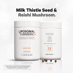 Liposomal Fermented Turmeric + Black Pepper - Curcumin & Ginger - 90 Capsules (30 Servings)