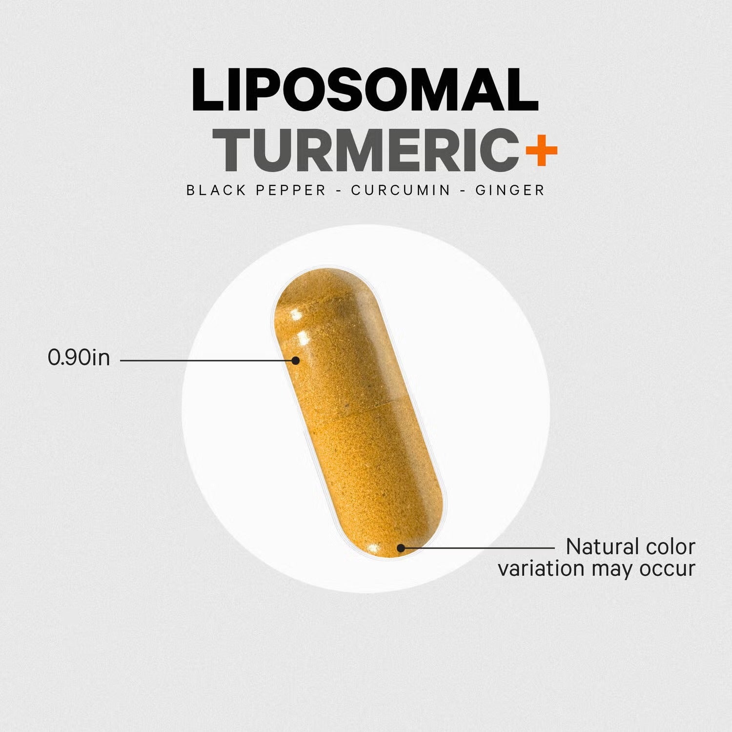 Liposomal Fermented Turmeric + Black Pepper - Curcumin & Ginger - 90 Capsules (30 Servings)
