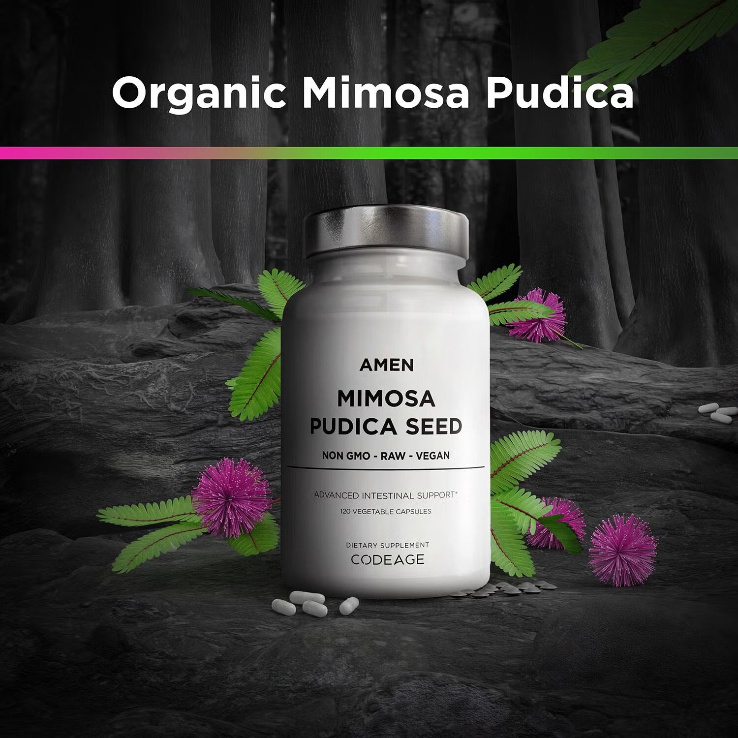 Amen Mimosa Pudica Seed 900 mg - Immune and Digestive Support - 120 Vegetable Capsules (60 Servings)