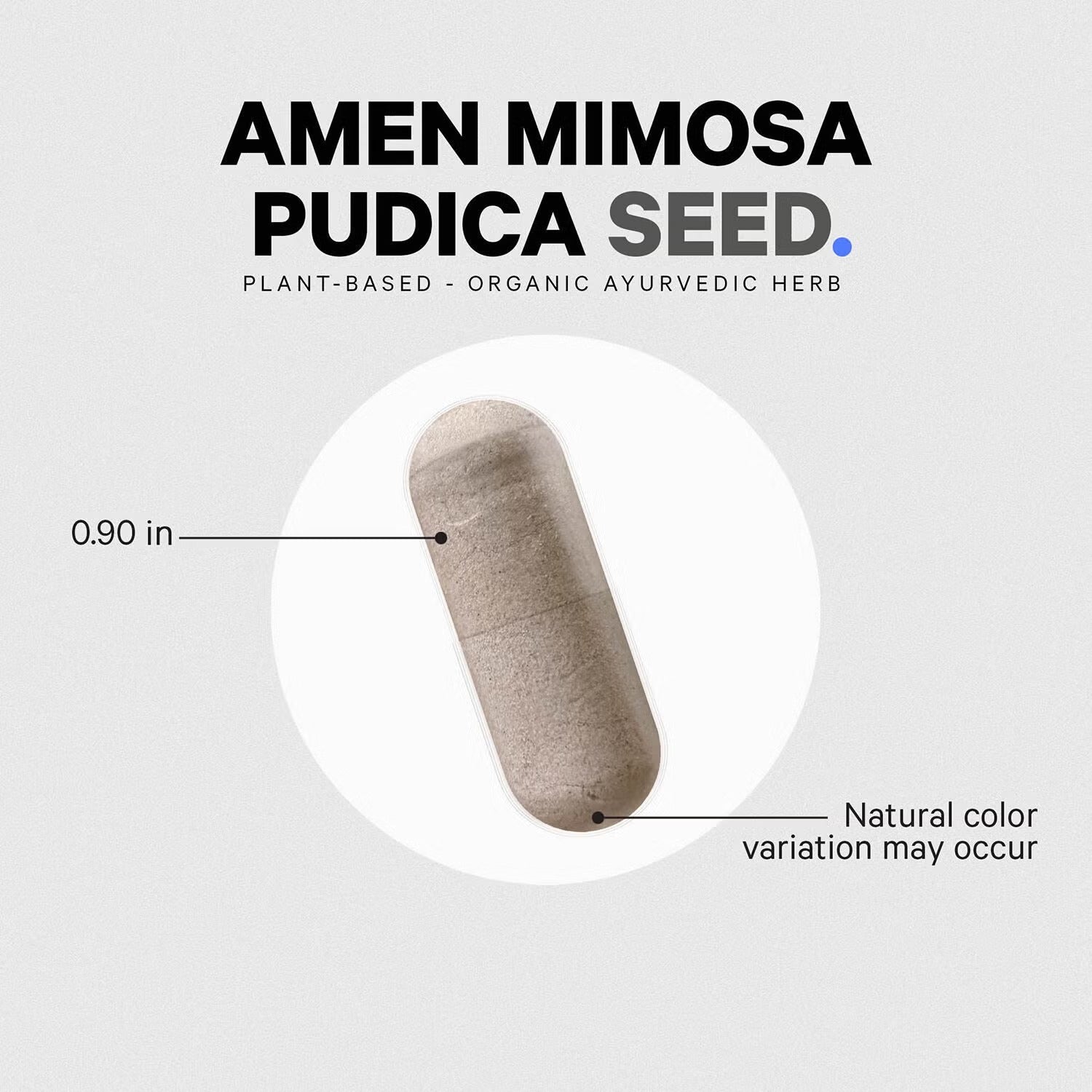 Amen Mimosa Pudica Seed 900 mg - Immune and Digestive Support - 120 Vegetable Capsules (60 Servings)