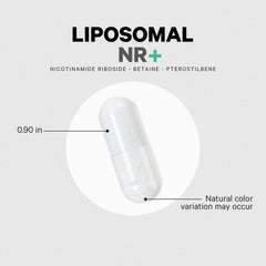 Liposomal Nicotinamide Riboside+ - 60 Capsules (60 Servings)