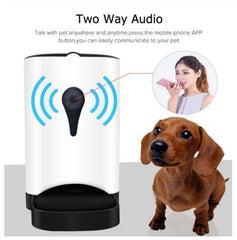 Intelligent automatic feeder cat and dog