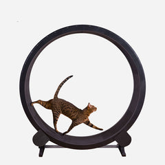 Pet Cat Running Wheel Fitness Toys