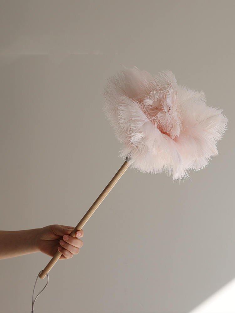 Feather Long Handle Feather Duster Electrostatic