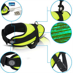 Large and small dogs, cats, luminous clothes, collars, luminous vests