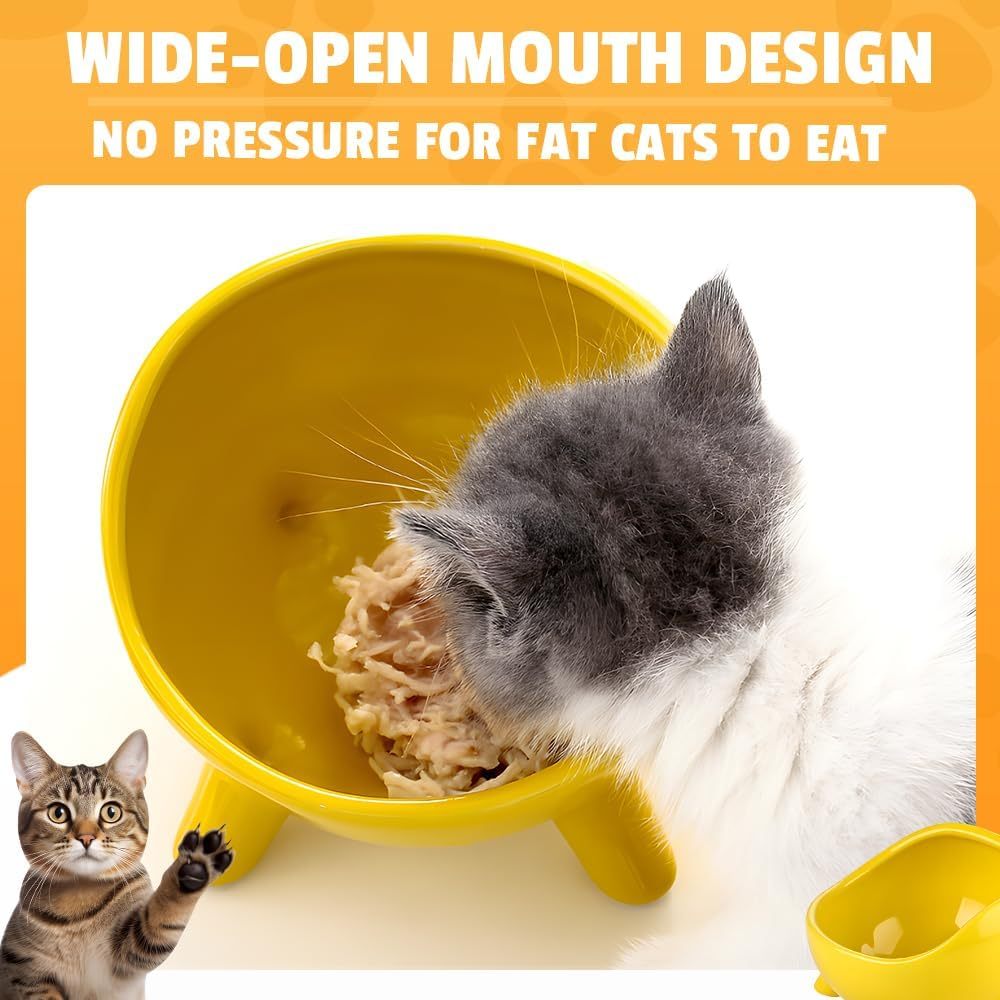 Cat Food Bowl For Cats And Small Dog  Four-Legs Ceramic Cat Food And Water Bowls For Indoor Cute Cat Stability Food Dish