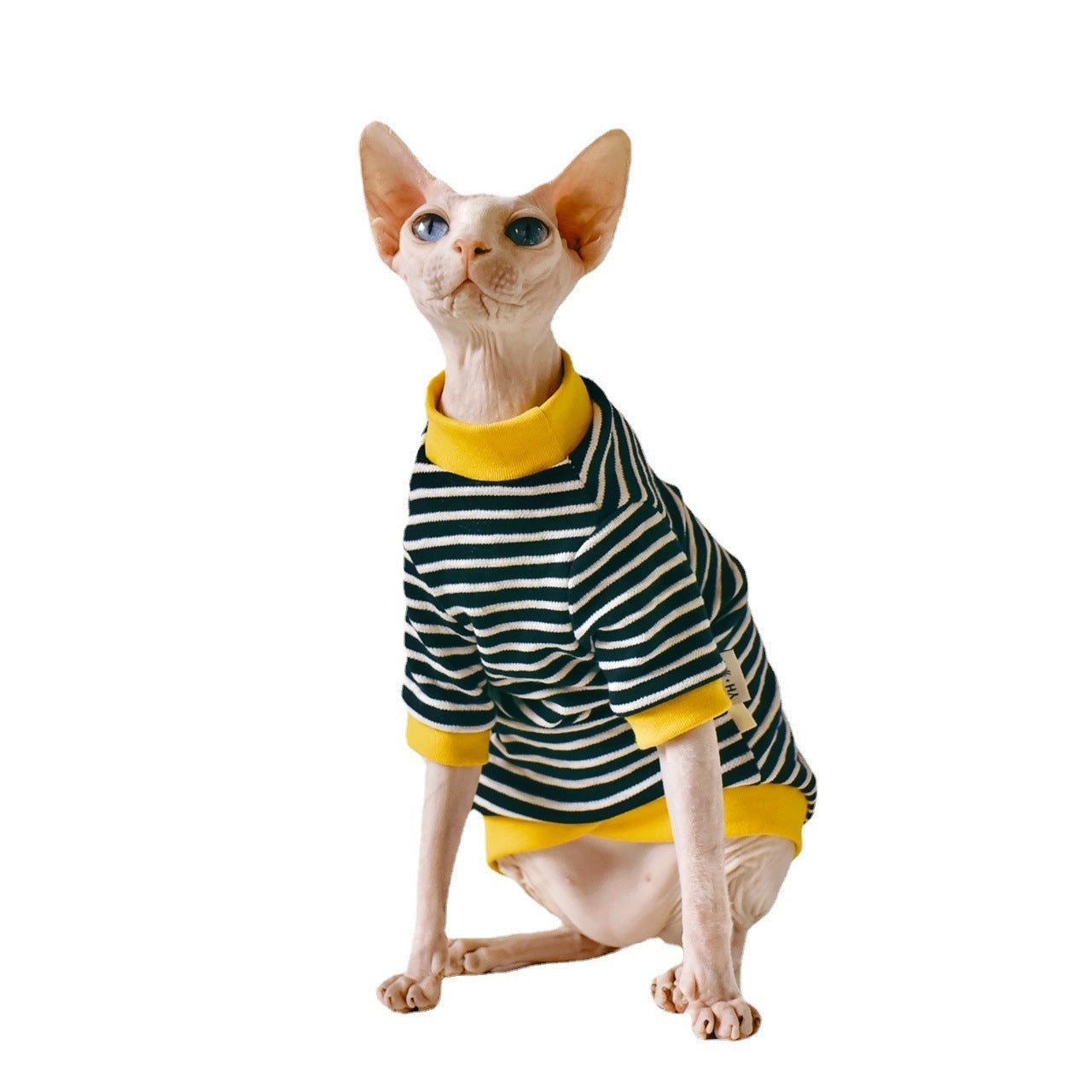 Fabric Sphinx Hairless Cat Clothing