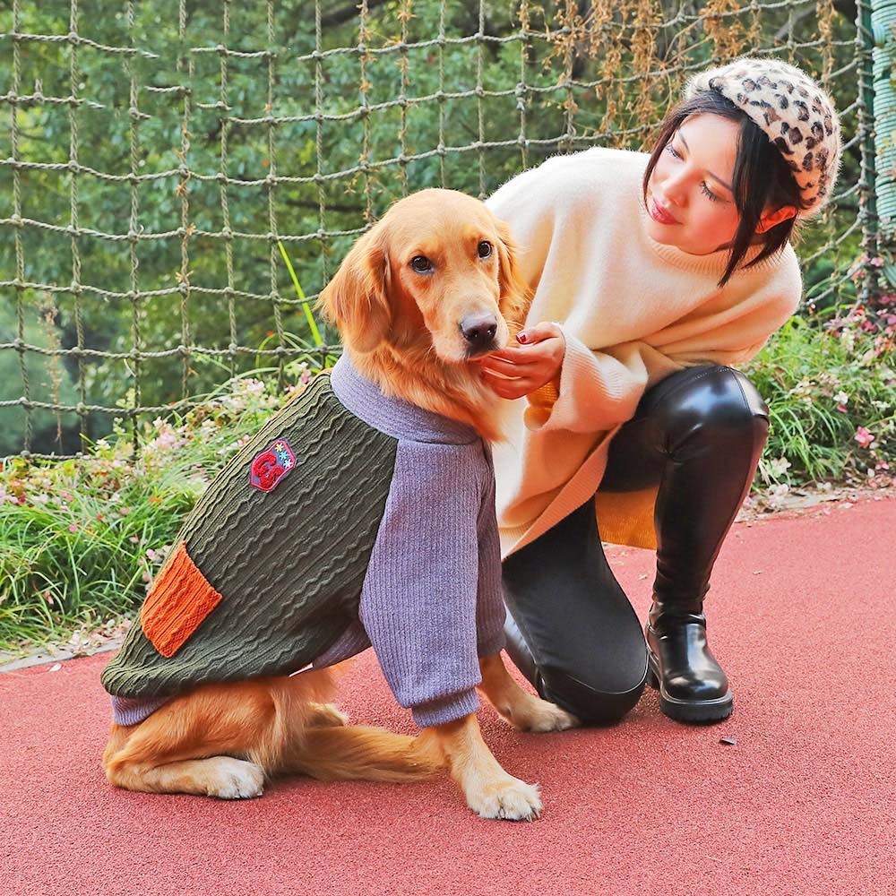 Winter warm golden retriever clothes