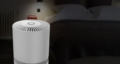 Portable desktop air purifier