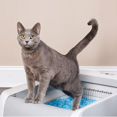 Full Automatic Cat Litter Basin Replacement