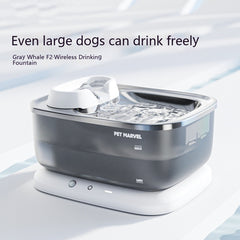 Household Pet Minimalist Circulating Water Dispenser