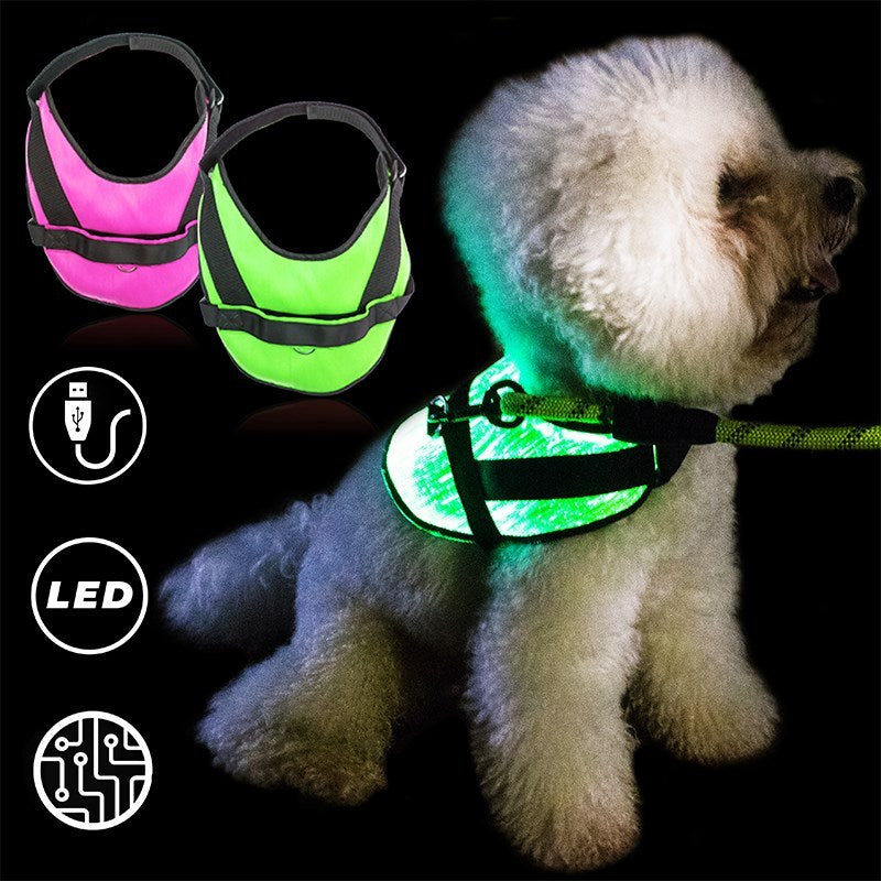 Large and small dogs, cats, luminous clothes, collars, luminous vests