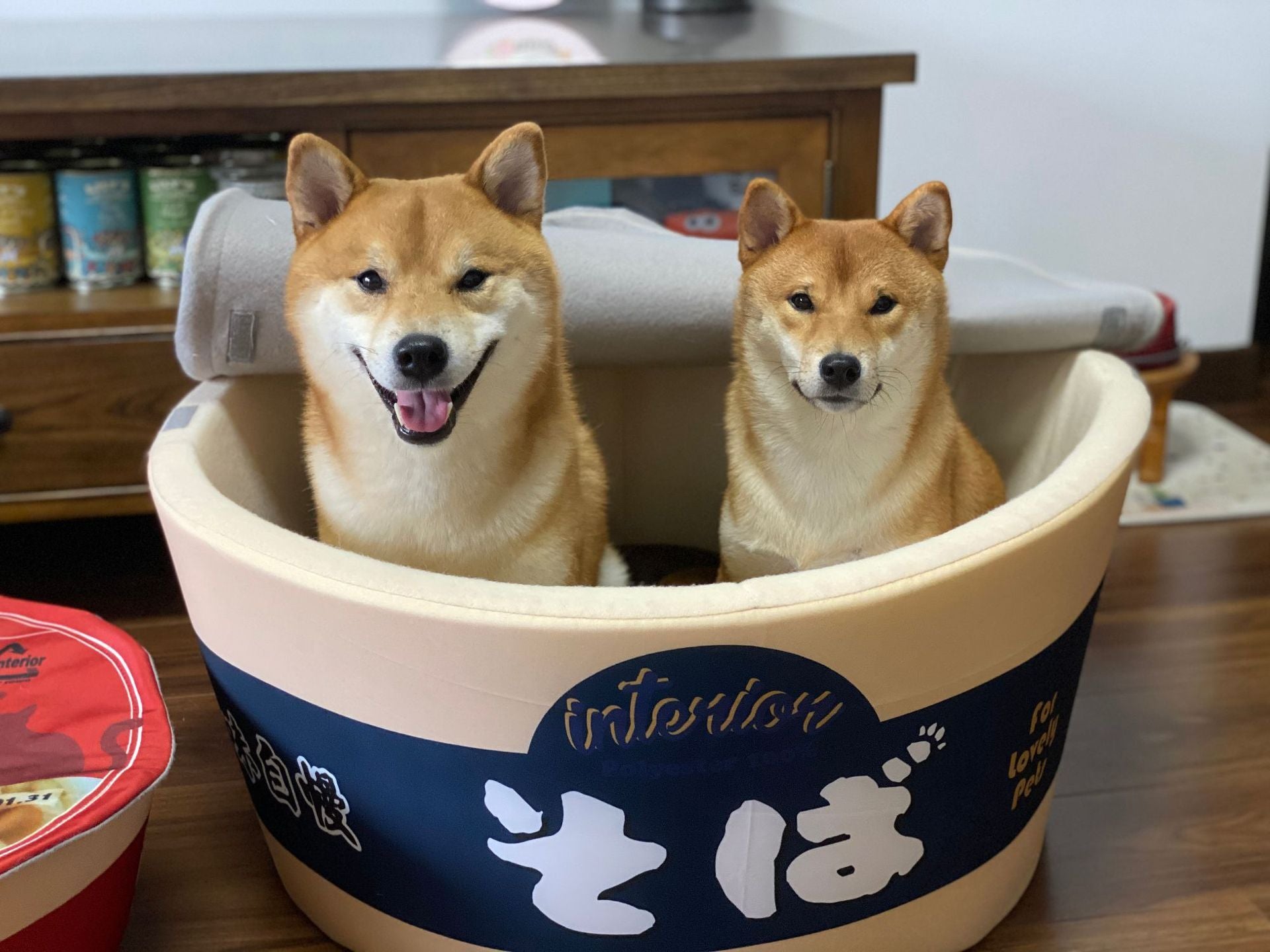 Japanese instant noodles dog''s nest