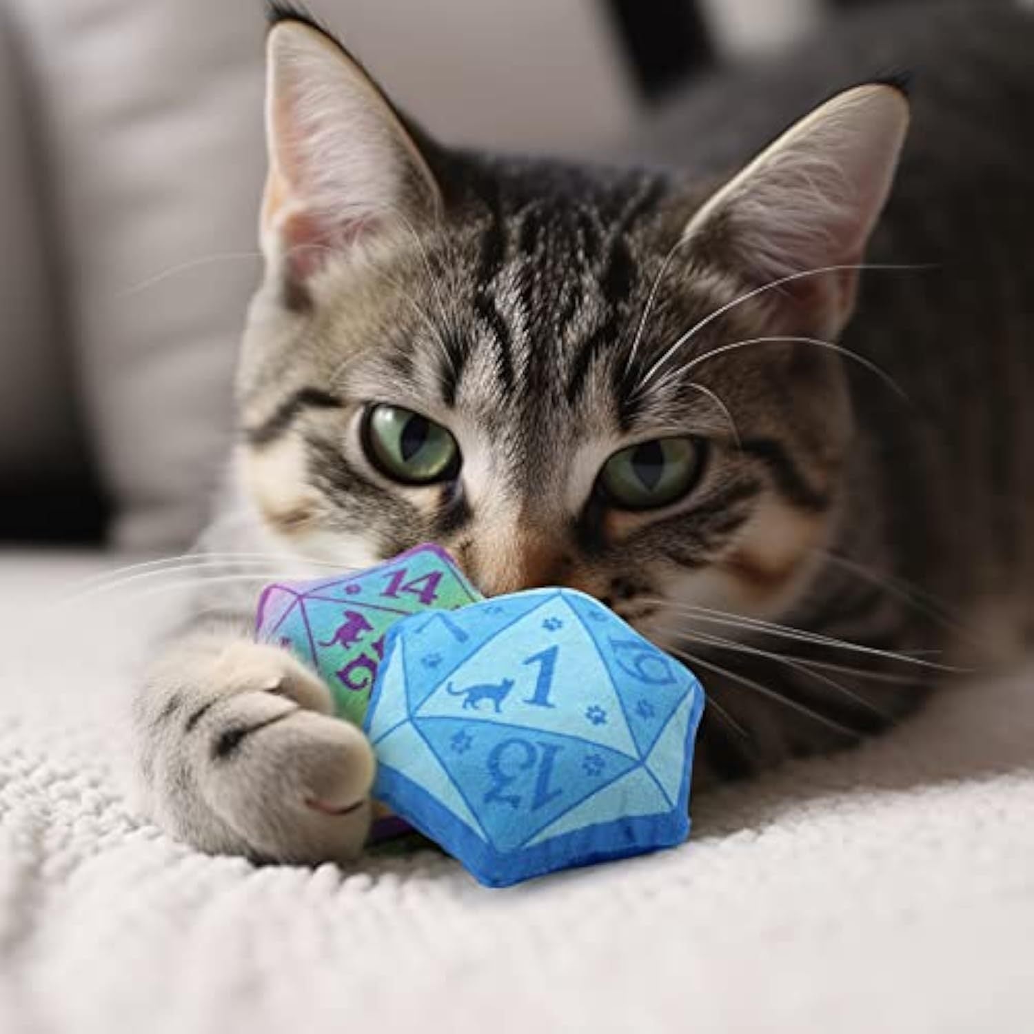 Dice Catnip Toy DND Interactive Cat Toy For Role Playing Tabletop Game Soft Plush Catmint Kitten Teething Chew Pet Supplies Cat Lover Witchy Wizard Gift Ideas