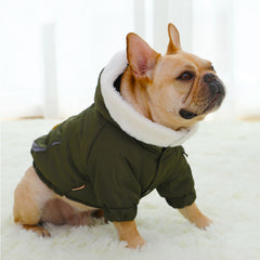 Dog's padded coat in winter