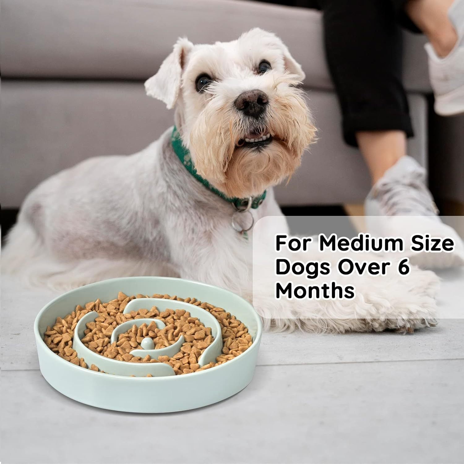 Slow Feeder Ceramic Dog Bowls For Medium Breed Slow Down Eating Anti-Choking Dishes Slow Feeding For Pet Bowl